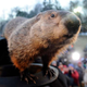 Image for article titled Depressed Groundhog Sees Shadow Of Rodent He Once Was